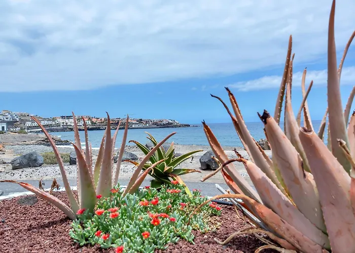 Σπίτι διακοπών House El Poris 2 *